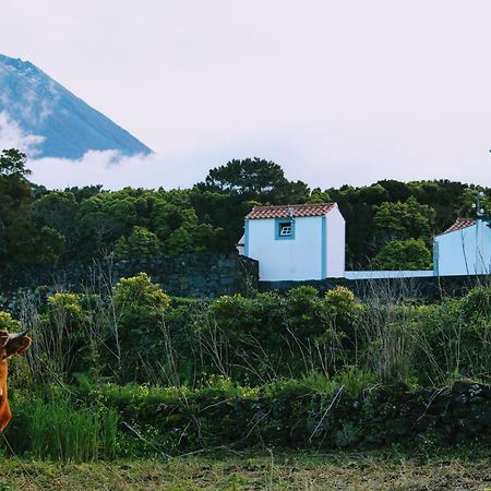 Casa Do Paim Villa São Roque do Pico Exteriör bild