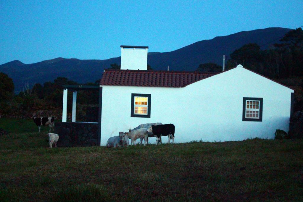 Casa Do Paim Villa São Roque do Pico Exteriör bild