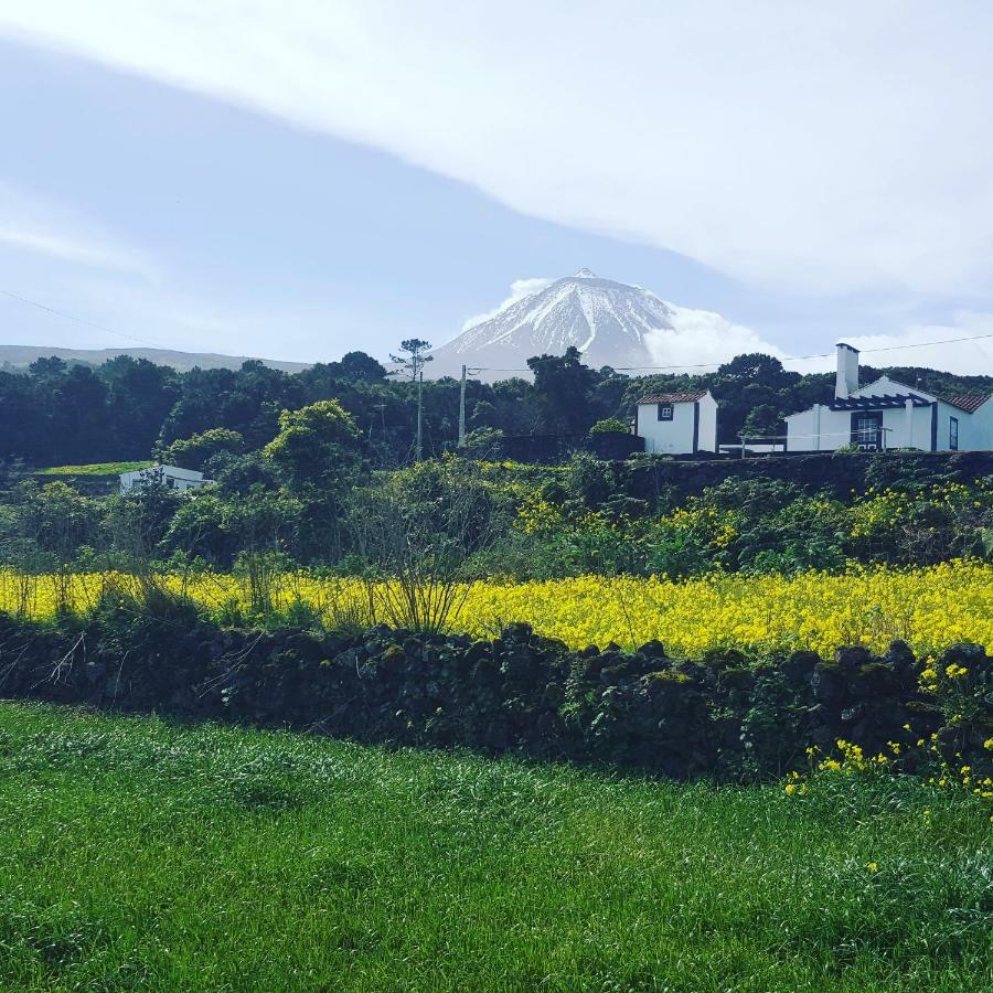 Casa Do Paim Villa São Roque do Pico Exteriör bild